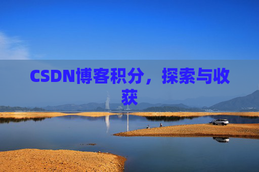 CSDN博客积分，探索与收获